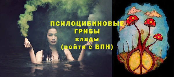 ешки Алексеевка