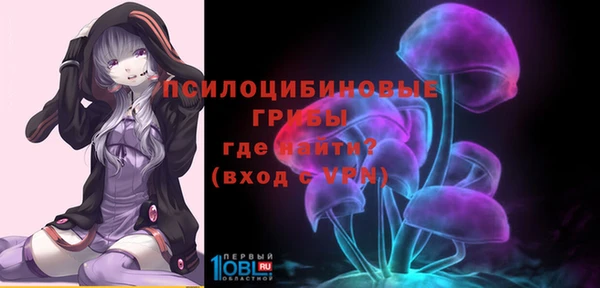 ешки Алексеевка