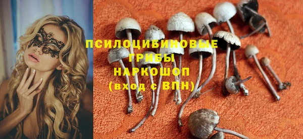 стафф Алексин