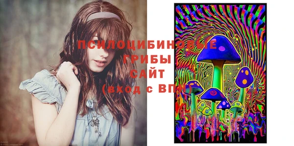 спиды Алзамай