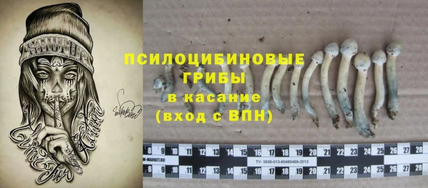 гидра Ижевск